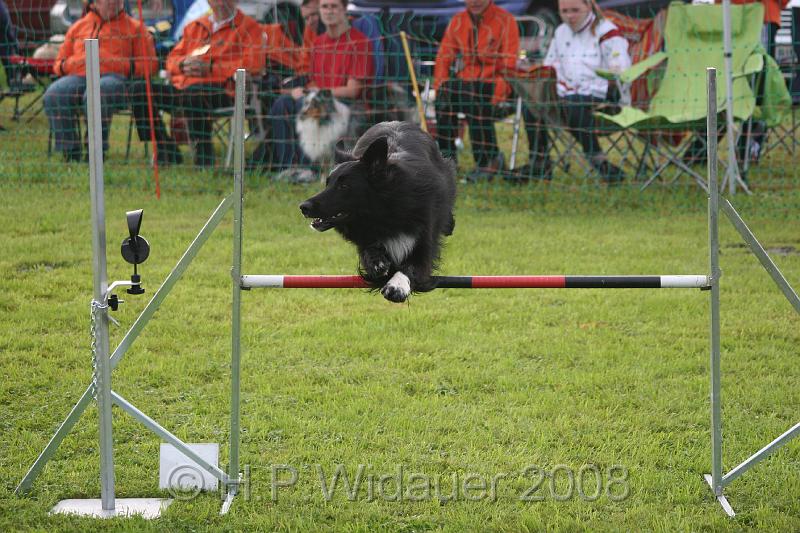 jubil.lusten. 014.jpg